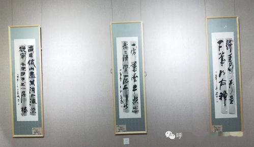 呼伦贝尔市45件作品入选全区残疾人及残疾人工作者文创产品 书法 绘画 摄影展