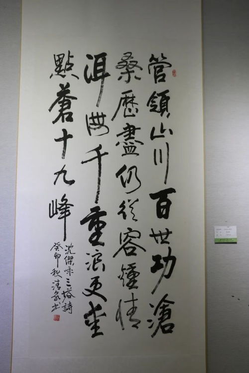 书苍洱毓秀——精品荟萃的书法艺术展